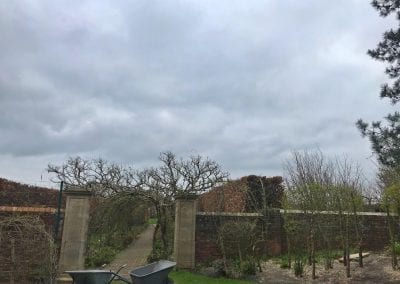 Dangerous tree safely removed and site cleared