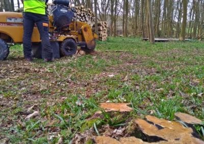 Tree surgeon with stump grinder