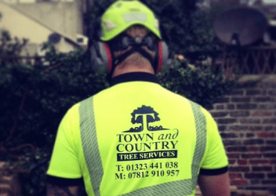 Town and Country Tree Services safety wear