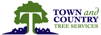 Town and Country Tree Services